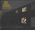 Favourite Worst Nightmare